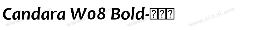 Candara W08 Bold字体转换